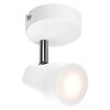 Ledvance Lights Spot ceiling light LED white, 1-light source