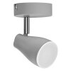 Ledvance Lights Spot ceiling light LED grey, 1-light source