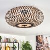 Bauro ceiling light black, 3-light sources