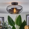 Mertola ceiling light Smoke-coloured, 1-light source