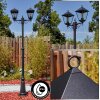 Anfei outdoor light, lamp post, path light black, 2-light sources