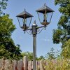 Anfei outdoor light, lamp post, path light gold, black, 2-light sources