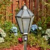 Falfosa outdoor light, path light gold, black, 1-light source, Motion sensor