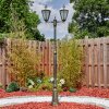 Falfosa outdoor light, lamp post, path light gold, black, 2-light sources