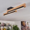 Lemene ceiling light LED Ecru, black, 2-light sources