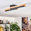 Lemene ceiling light LED Ecru, black, 2-light sources