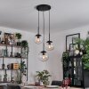 Gastor hanging light, globe light 30 cm clear, 3-light sources