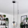 Gastor hanging light, globe light clear, 1-light source