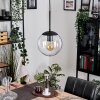 Gastor hanging light, globe light clear, 1-light source