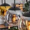 Gastor hanging light, globe light gold, clear, Smoke-coloured, 3-light sources