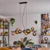 Sacoselo hanging light, globe light black, 9-light sources