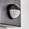 Encoberta outdoor light, outdoor wall light black, 1-light source, Motion sensor