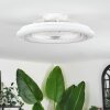 Benasal ceiling light, Ceiling fan light white, 1-light source, Remote control