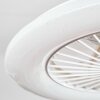 Benasal ceiling light, Ceiling fan light white, 1-light source, Remote control