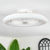 Benasal ceiling light, Ceiling fan light white, 1-light source, Remote control