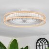 Benasal ceiling light, Ceiling fan light Ecru, white, 1-light source, Remote control