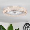 Benasal ceiling light, Ceiling fan light Ecru, white, 1-light source, Remote control