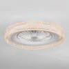 Benasal ceiling light, Ceiling fan light Ecru, white, 1-light source, Remote control