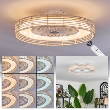 Benasal ceiling light, Ceiling fan light Ecru, white, 1-light source, Remote control