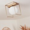 Finnseter Ceiling Light Champagne, 1-light source