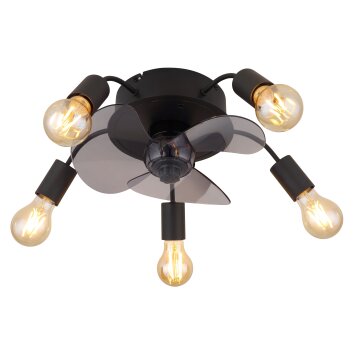 Globo lighting Alisha Ceiling fan light black, 5-light sources, Remote control