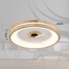 Globo lighting Gatian Ceiling fan light LED dark brown, white, 1-light source, Remote control