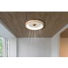 Globo lighting Gatian Ceiling fan light LED dark brown, white, 1-light source, Remote control