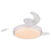 Globo lighting Beliz Ceiling fan light LED white, 1-light source, Remote control