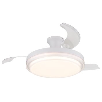 Globo lighting Beliz Ceiling fan light LED white, 1-light source, Remote control