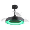 Globo lighting Elina Ceiling fan light LED grey, 1-light source, Remote control, Colour changer