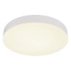 Globo lighting Matthew ceiling light LED white, 1-light source