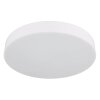 Globo lighting Matthew ceiling light LED white, 1-light source