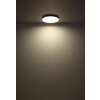 Globo lighting Matthew ceiling light LED white, 1-light source