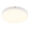 Globo lighting Matthew ceiling light LED white, 1-light source