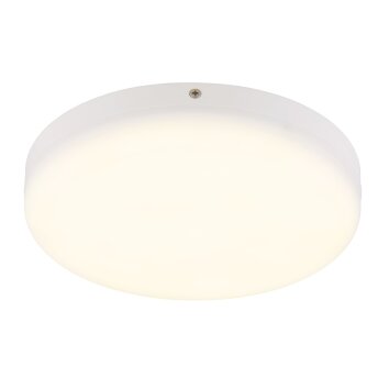 Globo lighting Matthew ceiling light LED white, 1-light source