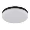 Globo lighting Matthew ceiling light LED black, 1-light source