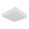 Globo lighting Matthew ceiling light LED white, 1-light source