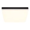 Globo lighting Matthew ceiling light LED black, 1-light source