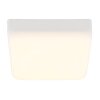 Globo lighting Matthew ceiling light LED white, 1-light source