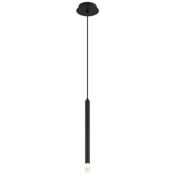 Globo lighting Blake hanging light black, 1-light source