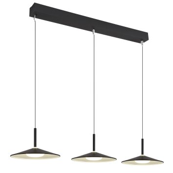 Globo lighting Lampone hanging light LED black, 1-light source