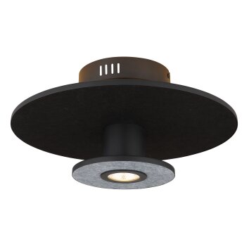 Globo lighting Carter ceiling light LED black, 1-light source