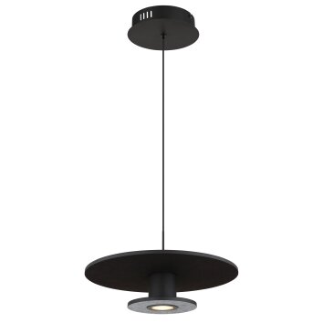 Globo lighting Carter hanging light LED black, 1-light source