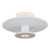 Globo lighting Carter ceiling light LED white, 1-light source