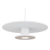 Globo lighting Carter hanging light LED white, 1-light source