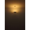 Globo lighting Carter hanging light LED white, 1-light source