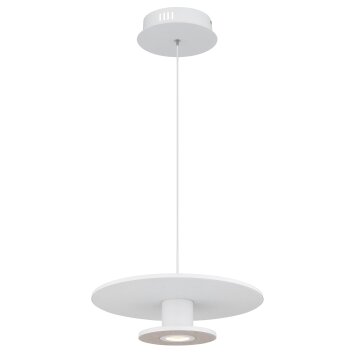 Globo lighting Carter hanging light LED white, 1-light source