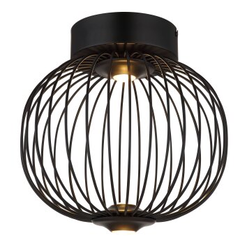 Globo lighting Galway ceiling light LED black, 1-light source