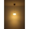 Globo lighting Quintara hanging light LED matt nickel, 1-light source