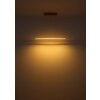 Globo lighting Muriella hanging light LED brass, 1-light source